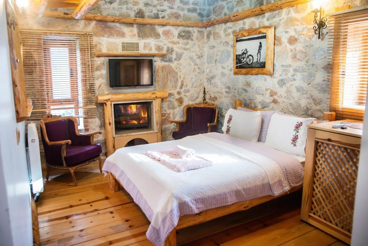 Mogla Tashan Hotel 무글라
